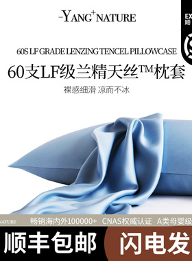 氧家60支莱赛尔LF级奥地利兰精天丝枕头套一对家用单个48cmx74cm