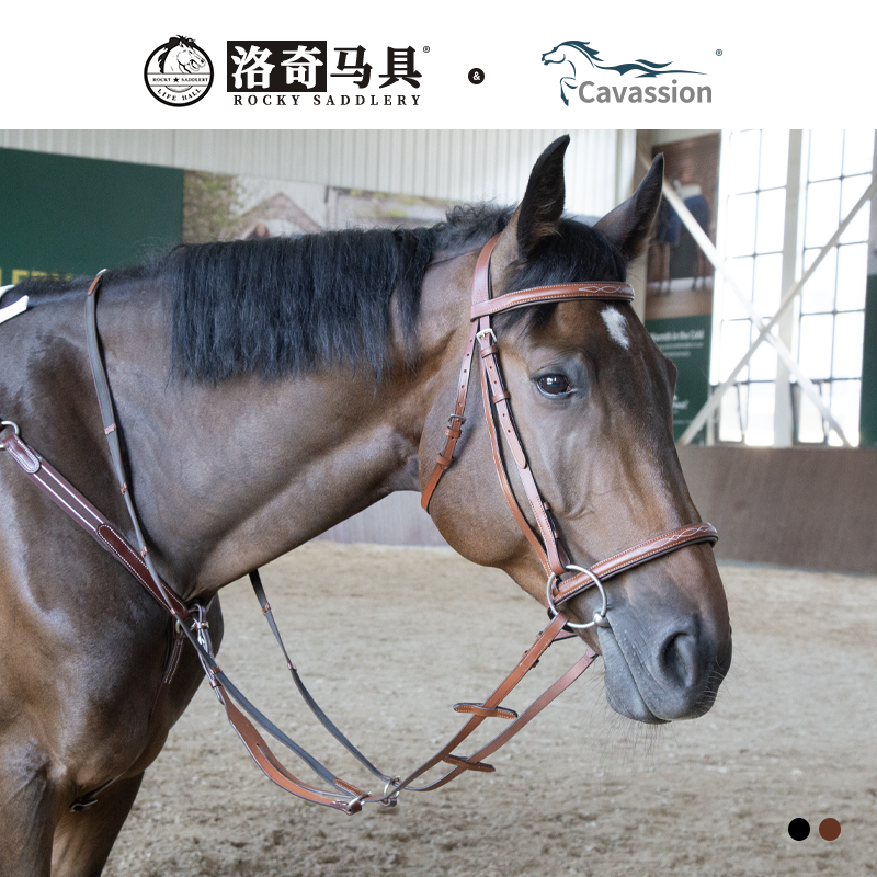 马匹装备cavassion水勒缰