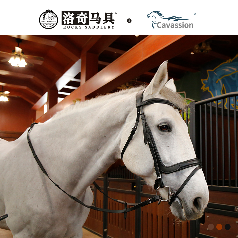 cavassion水勒缰马术马具
