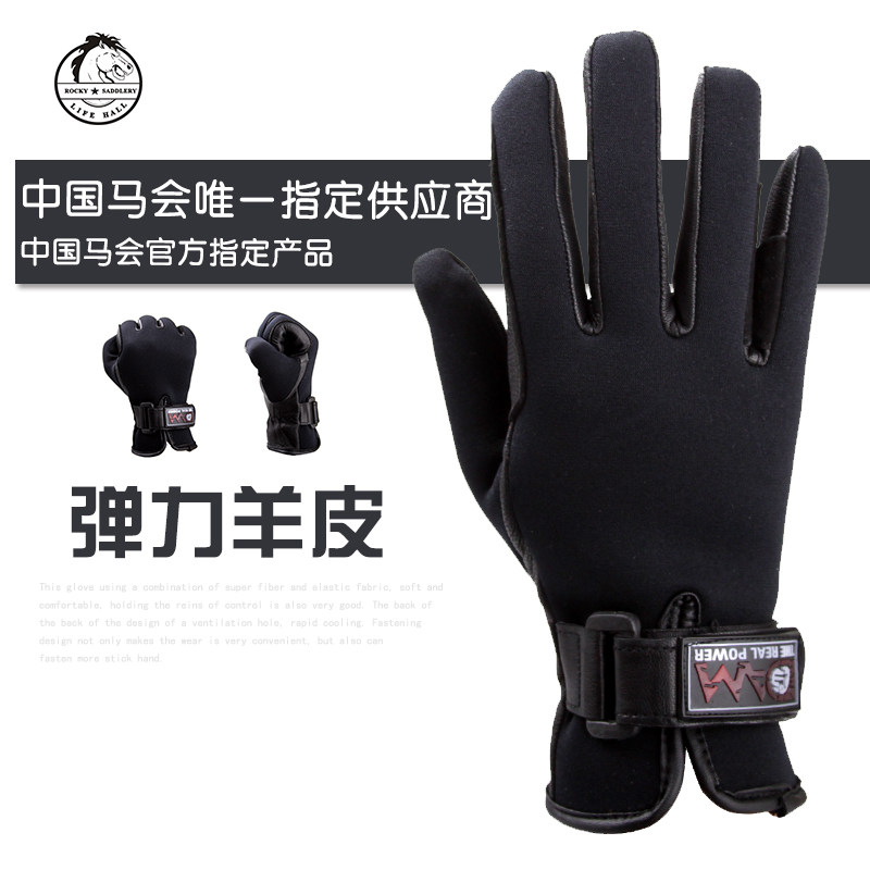 Article sports equestres - Ref 1383966 Image 1