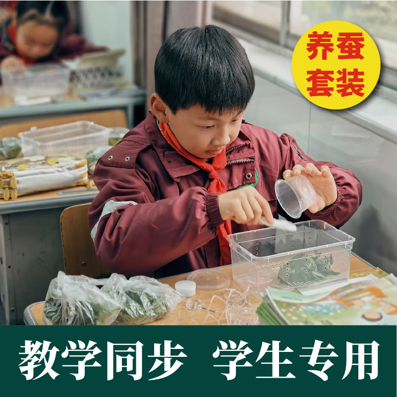 蚕宝宝套装幼虫学生活体太空舱养蚕三年级12龄春蚕卵彩蚕新鲜桑叶