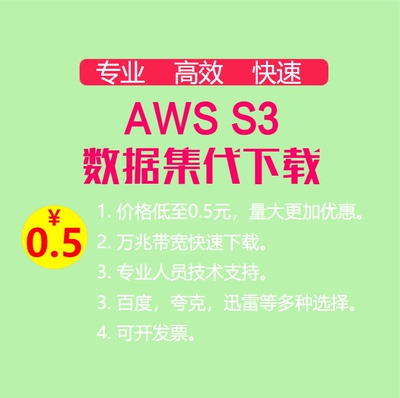 AWS S3数据集下载/全网网盘数据集代下载/加速转存服务/训练模型