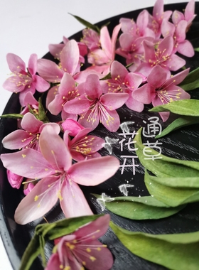 【通草花开】纯手工制作非遗通草花 通草纸桃花 定制限量工艺礼品