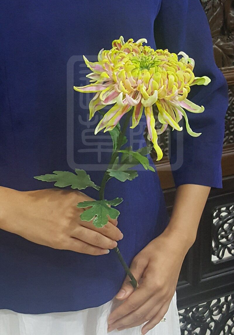 【通草花开】纯手工制作非遗通草花 通草纸菊花 高端定制工艺品