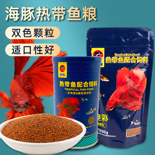 海豚小型鱼饲料江门小型热带