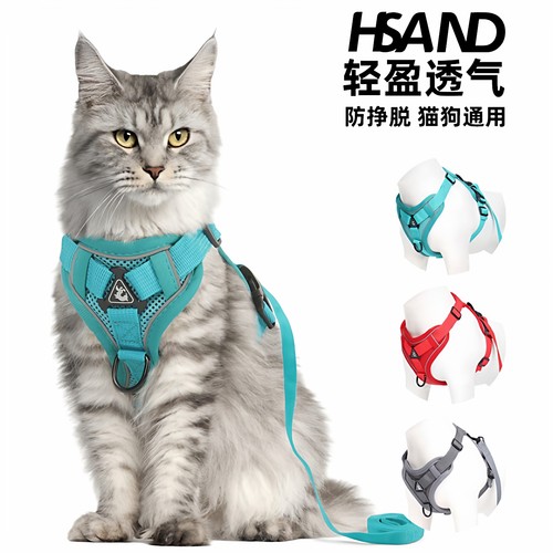 猫咪小狗牵引绳舒适防挣脱