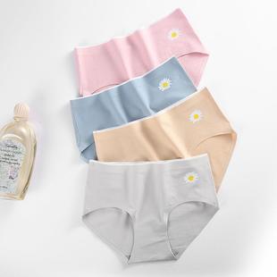 seamless cotton Daisy pure breathable antibacterial light