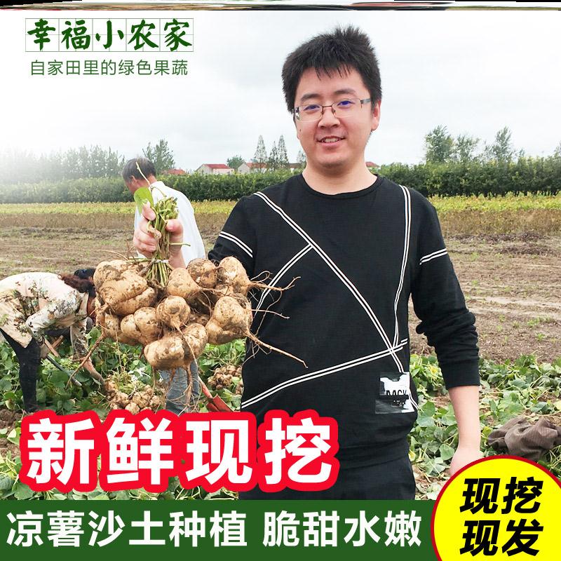 凉薯新鲜现挖白地瓜农家土特产豆薯番薯沙葛地萝卜产地直销农产品