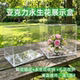 亚克力高透明永生花展示花盒花艺花束礼物摆件包装 礼盒防尘罩定制