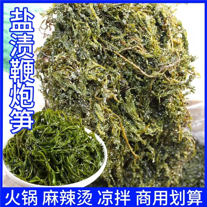 盐渍鞭炮笋新鲜马尾藻长寿菜盐渍海藻菜凉拌火锅海带商用家用