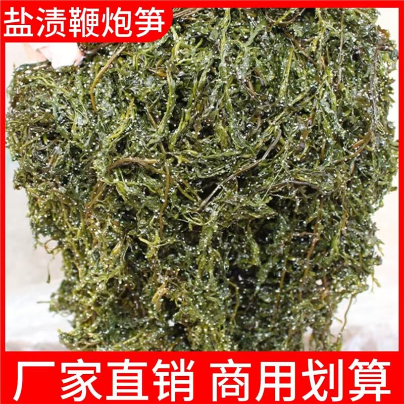 盐渍鞭炮笋新鲜马尾藻长寿菜盐渍海藻菜凉拌火锅海带商用家用