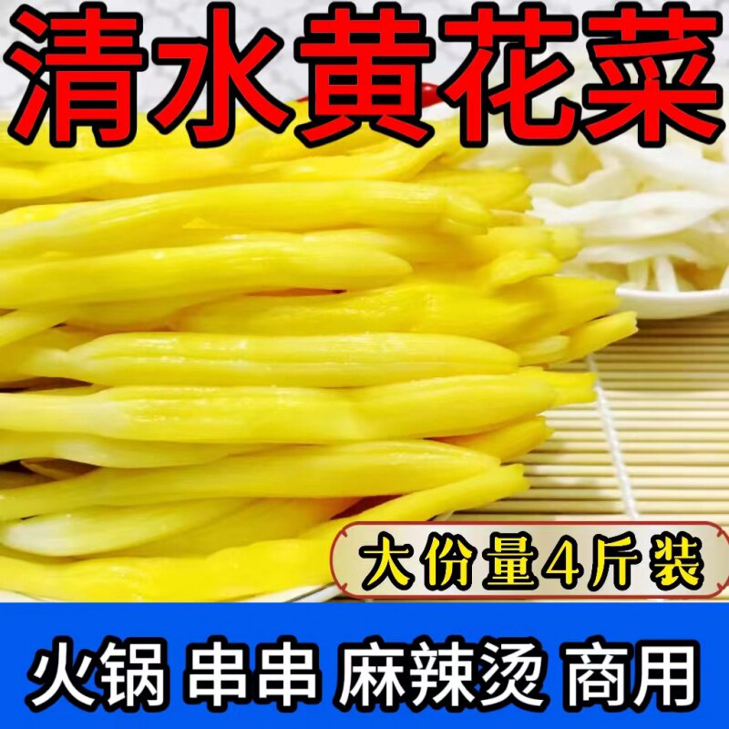 新鲜清水黄花菜凉拌菜盐水金针菜