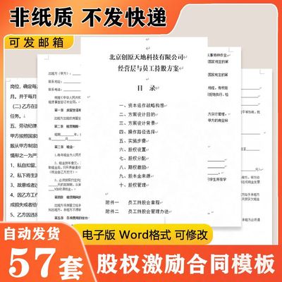 合伙股权协议书投资入股持股激励合同模板范本电子版word非纸质新