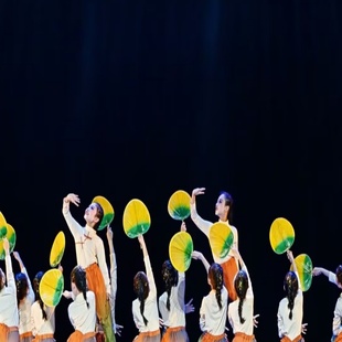 第十三届小荷风采风吹稻花香两岸中国舞致敬袁隆平红色记忆演出服