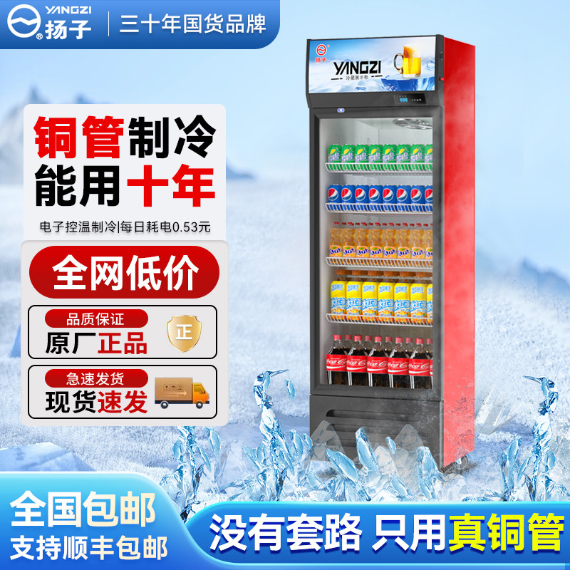 扬子铜管啤酒饮料展示柜冷藏超市冰柜商用冰箱立式保鲜冷柜双门