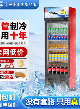 全国包邮铜管制冷商用冷藏展示柜