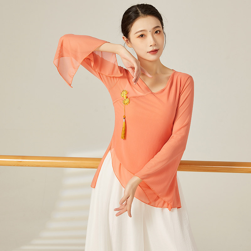 古典舞纱衣身韵练功服女飘逸演出服艺考中国风仙女基训舞蹈服上衣