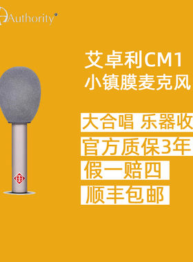 艾卓利CM1电容话筒小振膜乐器演讲大合唱录音舞台现场麦克风