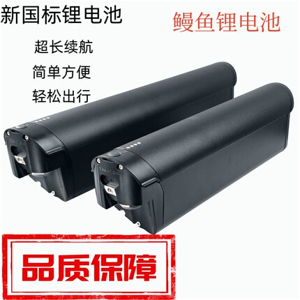 EEL PRO Mini 36V/48V 10Ah Li-ion Lightweight E-Bike Battery