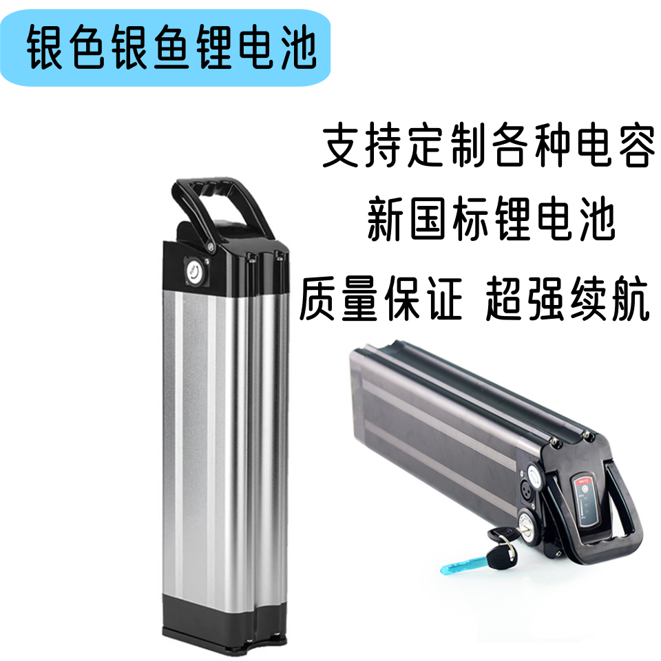 48v12ah20ah30ah锂电池厂家直销