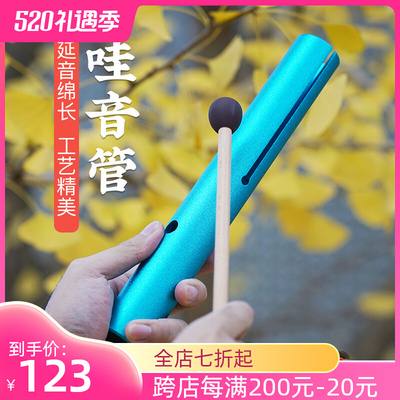 哇哇管哇音器哇音管德国麦尔哇哇器儿童早教便携音疗乐器打击乐