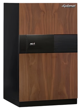 韩国得宝DPS8500STFL胡桃木纹家用指纹密码防火防盗保险柜