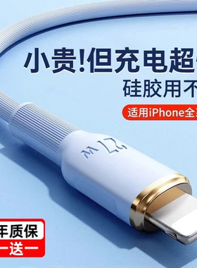 适用苹果11/12/13/14/15/16数据线加长2米iPhone12plus手机11p充电器线xr液态pd快充7/8/X硅胶软线双Typec口