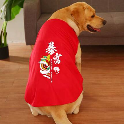 狗狗衣服夏季薄款背心大中小型犬金毛拉布拉多泰迪博美宠物定制字