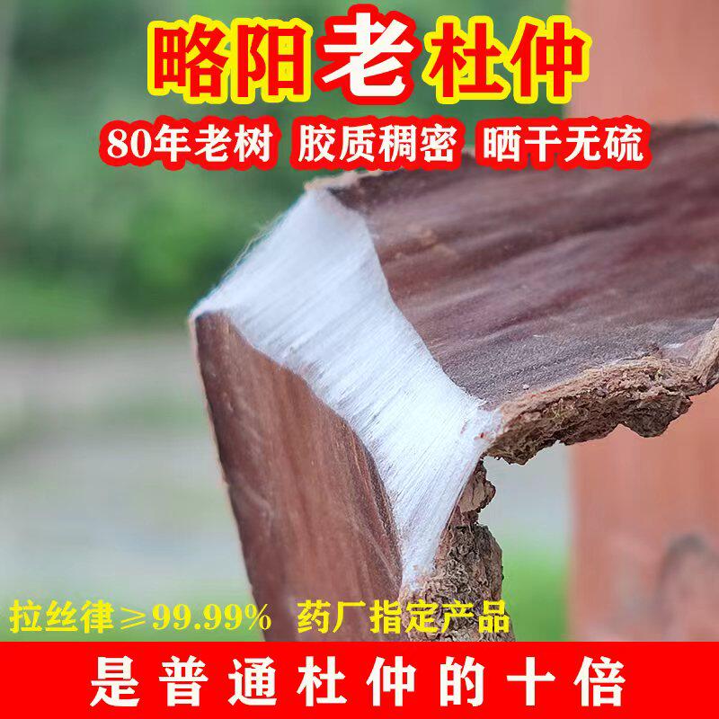 抖音同款正宗略阳老树杜仲皮中药材泡酒炖汤煮水去粗皮盐炒无硫熏