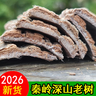 正宗略阳杜仲皮中药材药用老树杜仲煲汤泡酒泡茶盐炒焦杜仲正品