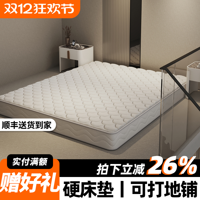 地铺睡垫棕垫床垫子天然椰棕公寓专用护脊神器防潮加硬垫薄厚定制