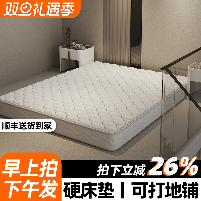 地铺睡垫棕垫床垫子天然椰棕公寓专用护脊神器防潮加硬垫薄厚定制