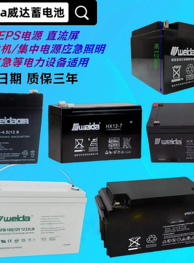 Weida威达蓄电池6-GFM/HX12-65 12V100AH 17 24 38 40 65铅酸电瓶