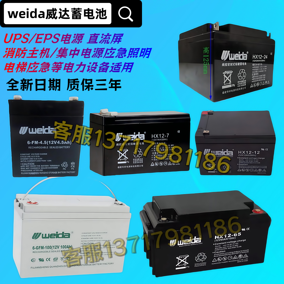 Weida威达蓄电池6-GFM/HX12-65 12V100AH 17 24 38 40 65铅酸电瓶