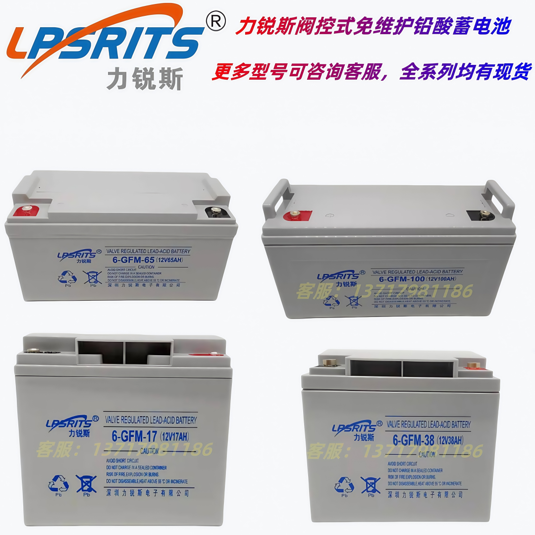 力锐斯蓄电池6-GFM-65阀控式免维护12V100AH17A24AH38AH直流屏UPS