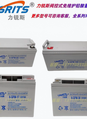 力锐斯蓄电池6-GFM-65阀控式免维护12V100AH17A24AH38AH直流屏UPS