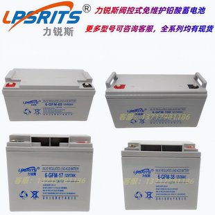 力锐斯蓄电池6-GFM-65阀控式免维护12V100AH17A24AH38AH直流屏UPS