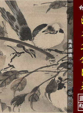 林良灌木集禽图卷微喷打印明代花鸟画临摹绢布画稿小写意花鸟画范