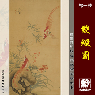 邹一桂双绶图微喷打印明清花鸟画临摹绢布画稿工笔禽鸟画范本
