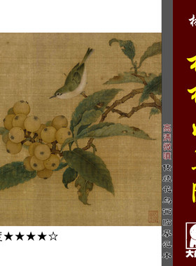 枇杷山鸟图工笔花鸟微喷临摹画稿