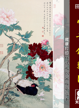 田世光富贵锦鸡图微喷打印近现代花鸟画临摹绢布画稿工笔牡丹画范