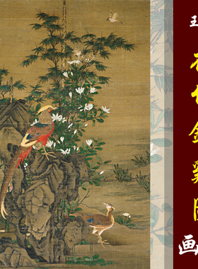 王渊工笔花鸟临摹传统重彩锦鸡图