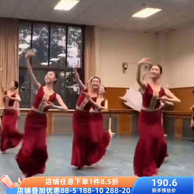 舞研依库傣族舞蹈服装女练功服鱼尾裙半身裙舞裙长裙舞蹈表演服装