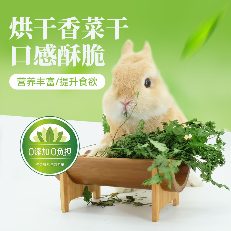兔兔零食香菜干龙猫荷兰猪仓鼠磨牙蔬菜干小宠兔子食物垂耳兔零食
