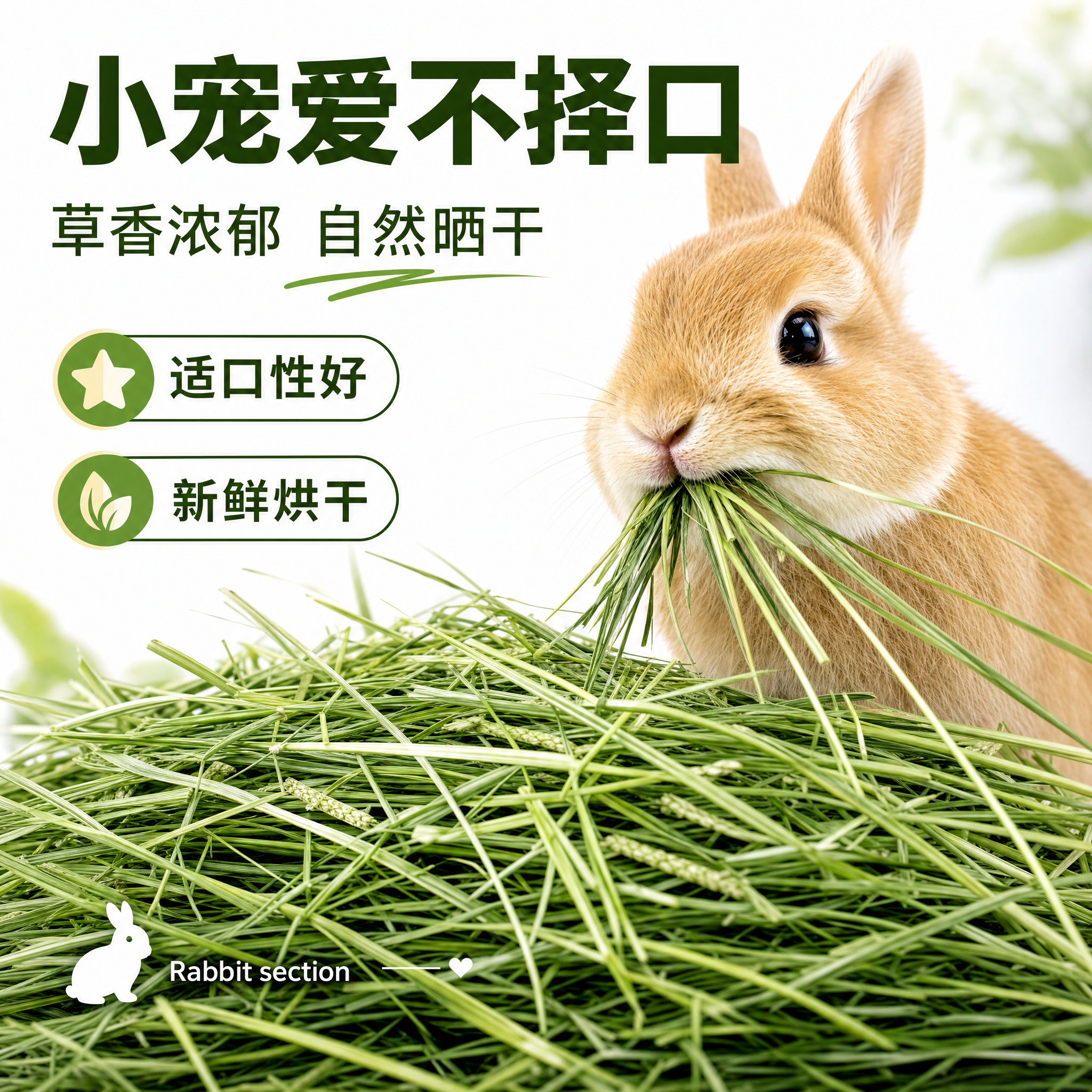 现货提摩西草北提草新鲜