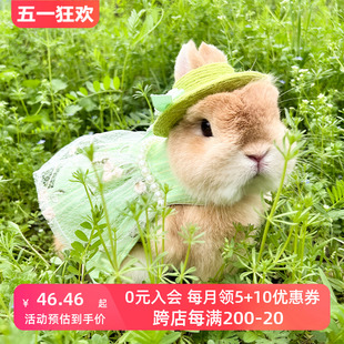 宠物兔 牵引绳猫猫兔衣服 垂耳兔侏儒兔春天出游绿色复古公主裙子