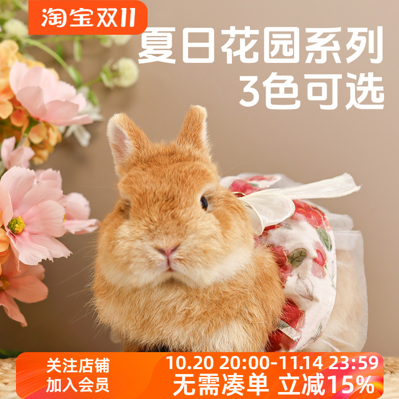 umi宠物兔兔夏日花园兔子夏季裙