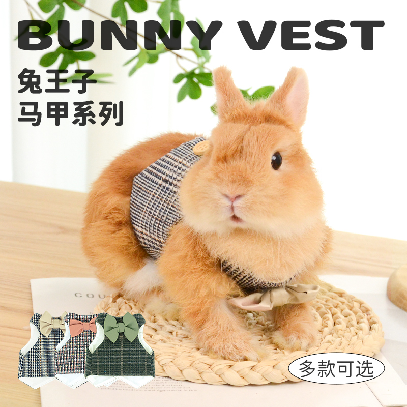 兔子衣服蝴蝶结马甲宠物侏儒