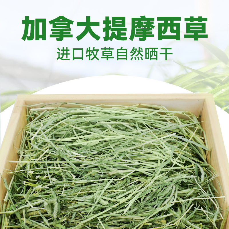 现货加拿大提摩西草兔子一番