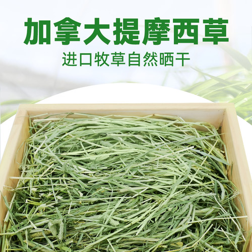 现货加拿大提摩西草兔子一番